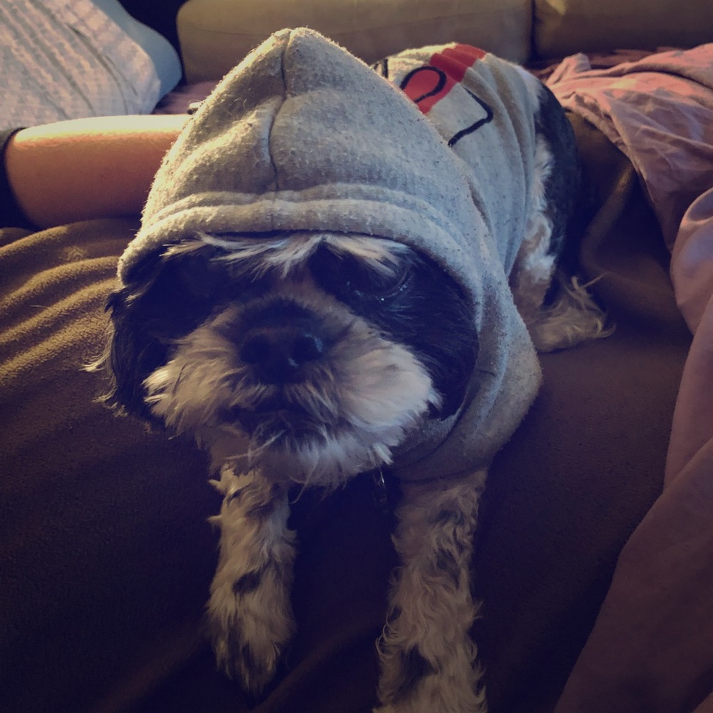 Meet your Posher, Amy